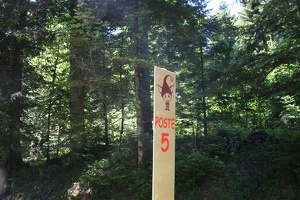 JLV2009 086
